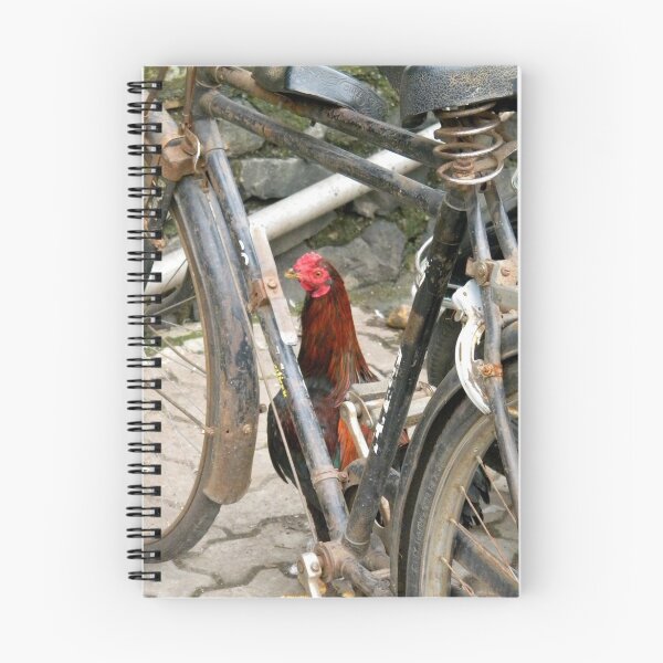 Aperçu de l'œuvre Vélo et coq créée et vendue par Helena Bolle.