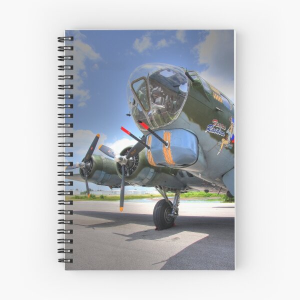 Aperçu de l'œuvre B-17 créée et vendue par seagrl44.