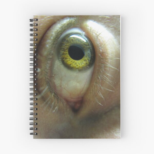 Item preview, Vision designed and sold by purposemaker909.