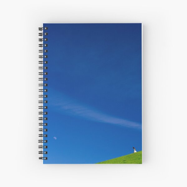 the girl on a hill Spiral Notebook