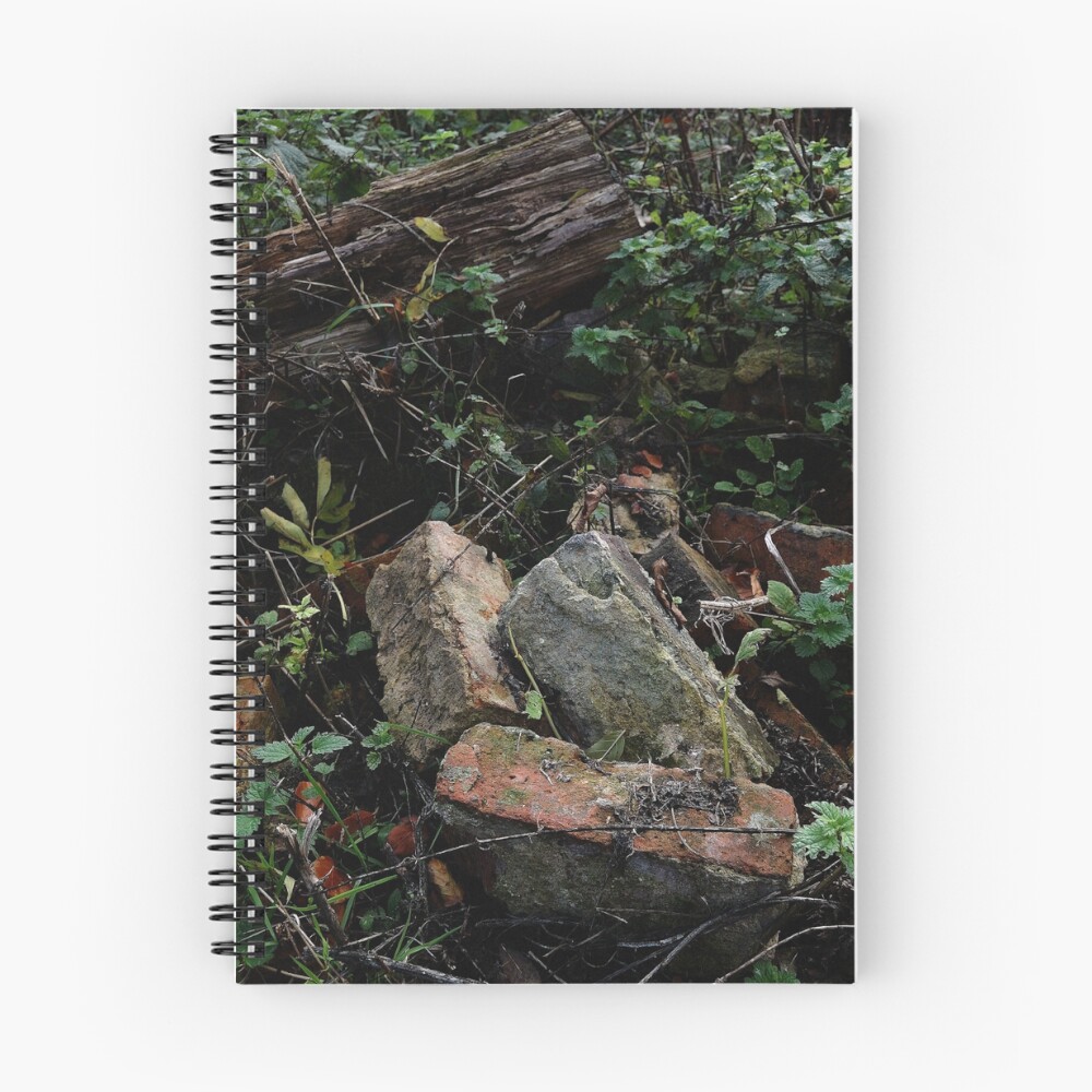 Vista previa del artículo con la obra «Cuaderno de espiral», diseñado y vendido por ReesAdams.