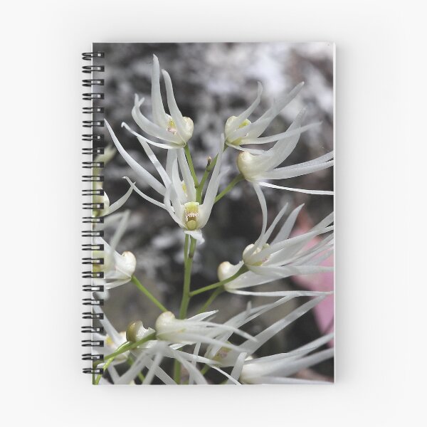 Item preview, Docrillia linguiformis - Tongue Orchid designed and sold by Cindy McDonald.