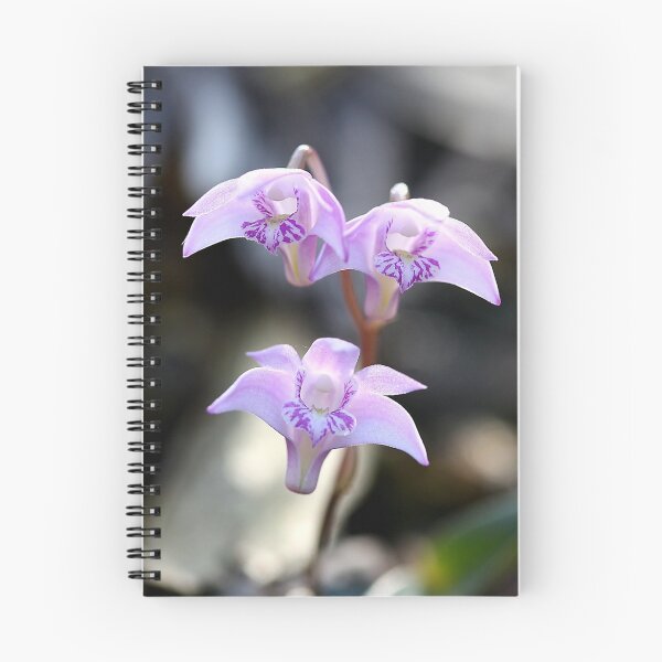 Item preview, Denrobium kingianum - Pink Rock orchid designed and sold by Cindy McDonald.
