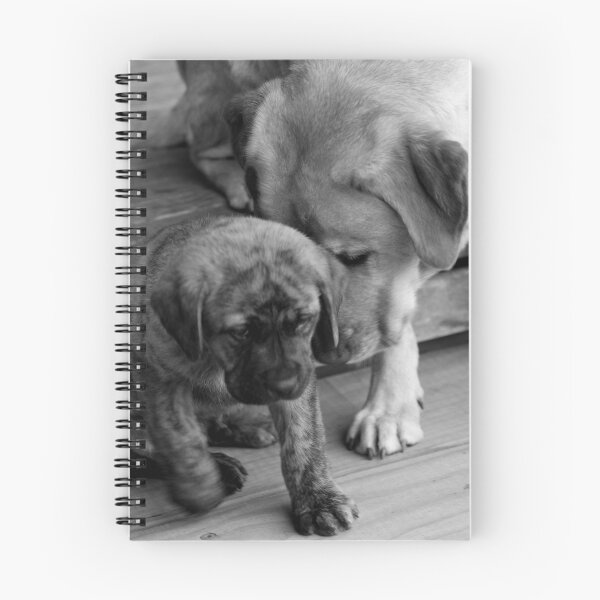 Item preview, Encouragement designed and sold by TMphotography.