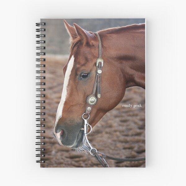 Item preview, Miss Chrissy's Horse designed and sold by Emily Peak.
