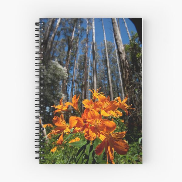 Item preview, Orange spring designed and sold by Anthony Milnes.