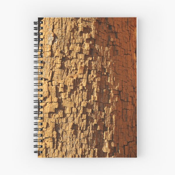 Aperçu de l'œuvre texture of tree bark créée et vendue par Catherine Ames.