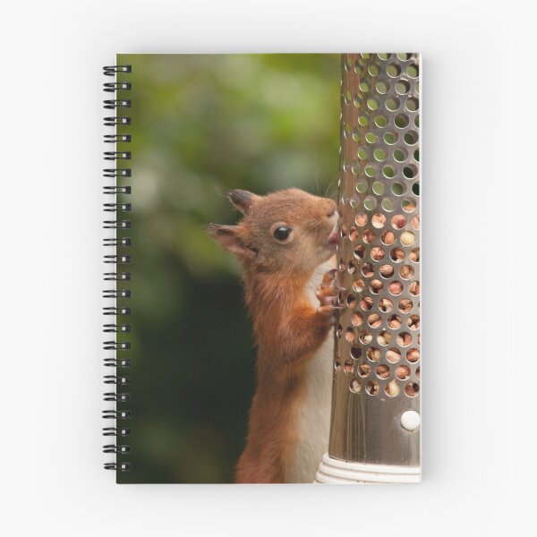 Item preview, European Red Squirrel designed and sold by Jon Lees.