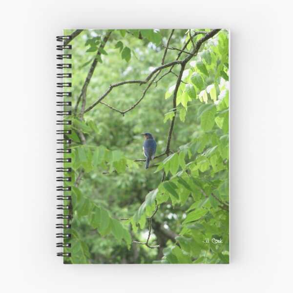 Item preview, Eastern Bluebird (Sialia sialis) 3 designed and sold by JAX1PIX.