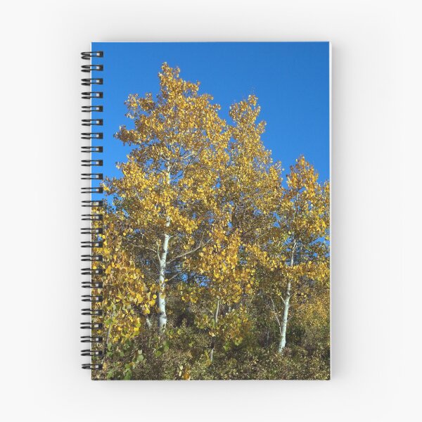 Item preview, Aspen in Idaho designed and sold by Forrest  Ray.