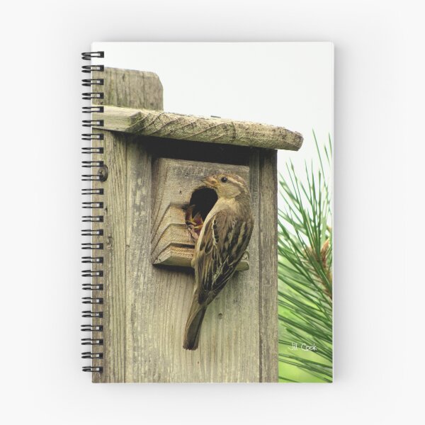 Item preview, House Sparrow (Passer domesticus) 1 designed and sold by JAX1PIX.