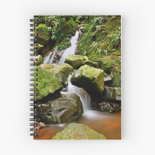 Item preview, Rainforest Falls designed and sold by Paul Earl.