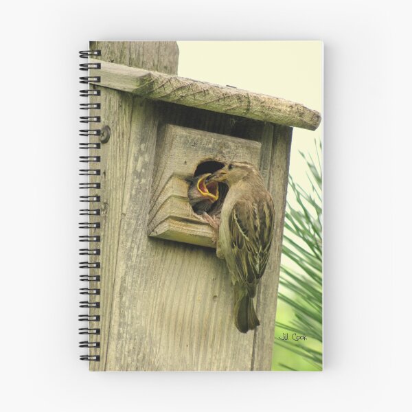 Item preview, House Sparrow (Passer domesticus) 2 designed and sold by JAX1PIX.