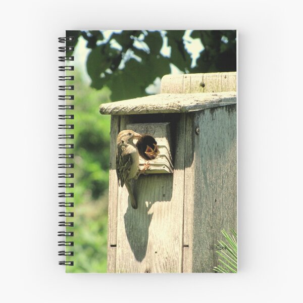 Item preview, House Sparrow (Passer domesticus) 3 designed and sold by JAX1PIX.