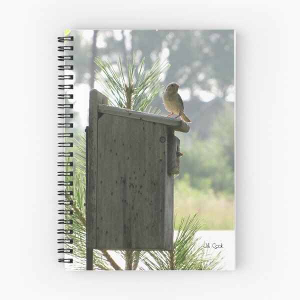 Item preview, House Sparrow (Passer domesticus) 11 designed and sold by JAX1PIX.