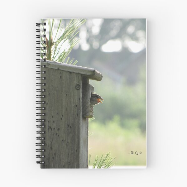 Item preview, House Sparrow (Passer domesticus) 9 designed and sold by JAX1PIX.