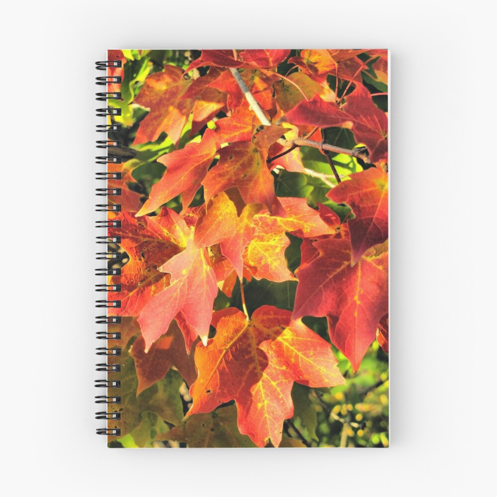 Item preview, Spiral Notebook designed and sold by shutterbug2010.