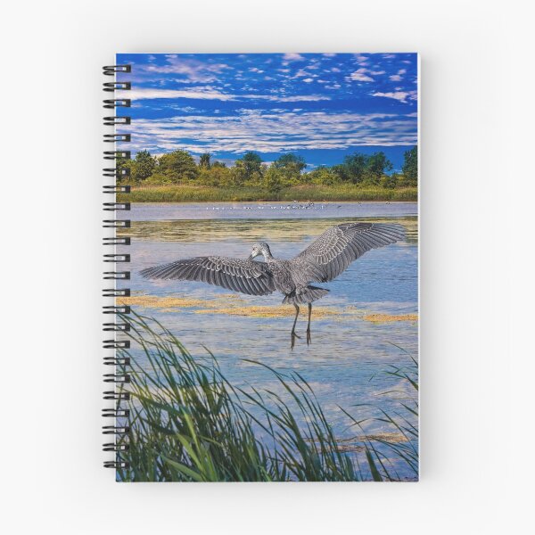 Item preview, Jamaica Bay Wild Life Refuge, New York designed and sold by Chris Lord's Pixielated Pixels.