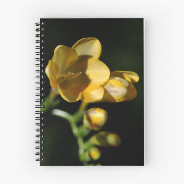 Item preview, In Search of LIGHT designed and sold by Joy Watson - Natural Light Photography .