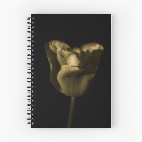 Item preview, Tulip designed and sold by PeterDamo.