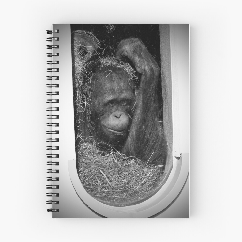 Item preview, Spiral Notebook designed and sold by sandrafarrow.