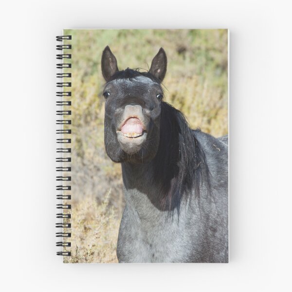 Item preview, Wild Blue Roan Mare... Checking Me Out designed and sold by A.M. Ruttle.