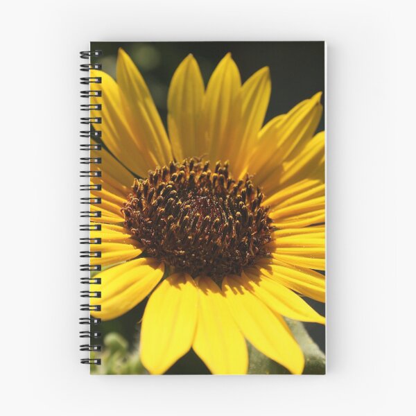 Item preview, Sunflower light designed and sold by Ginger.