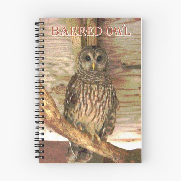 Artikelvorschau, Barred Owl Poster entworfen und verkauft von AuntDot.