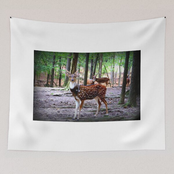 Item preview, Axis Deer designed and sold by Cynthia48.