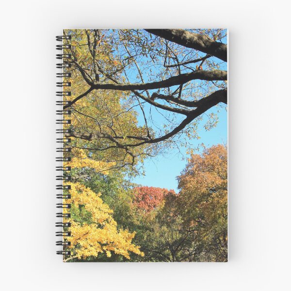 Item preview, An Autumn Canopy Over Lafayette Park  designed and sold by Cora Wandel.