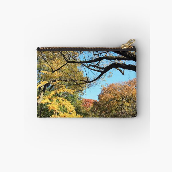 Item preview, An Autumn Canopy Over Lafayette Park  designed and sold by Cora Wandel.