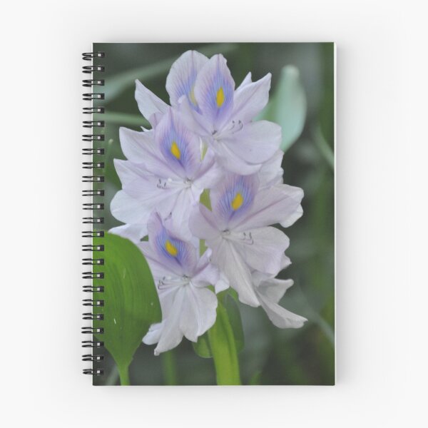 Item preview, Purple Water Flower designed and sold by Shelby  Stalnaker Bortone.