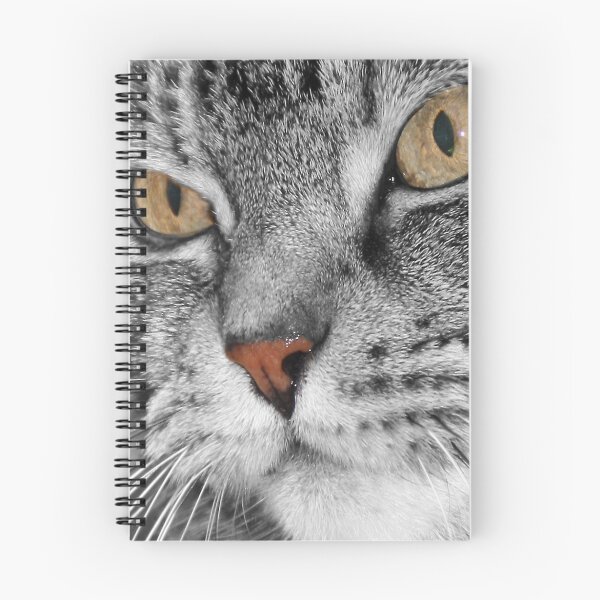 Item preview, An Enquiring Cat designed and sold by simpsonvisuals.