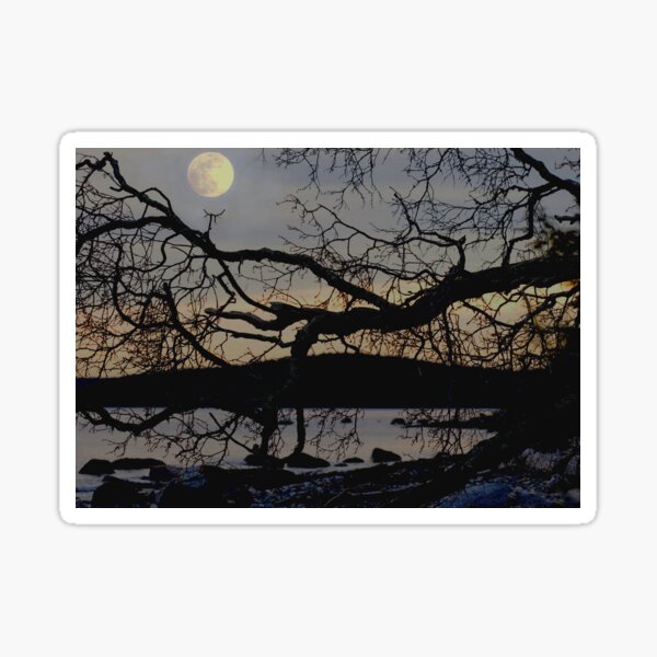 Moonlight at the Beach Sticker