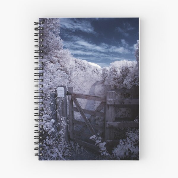 Item preview, The gate designed and sold by David Cooper.