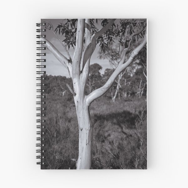 Item preview, Gum Tree One designed and sold by Phill Danze.