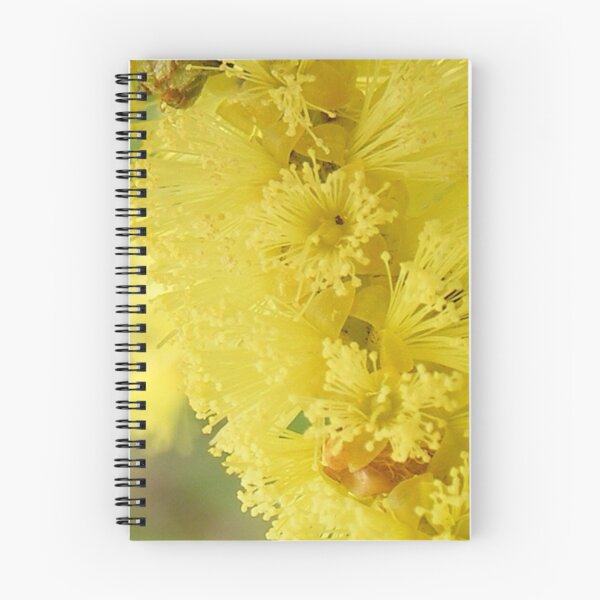 Item preview, acacia blooming designed and sold by Gaylene Norton.