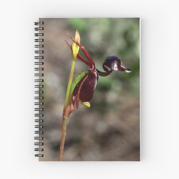 Item preview, Flying Duck Orchid designed and sold by Cindy McDonald.