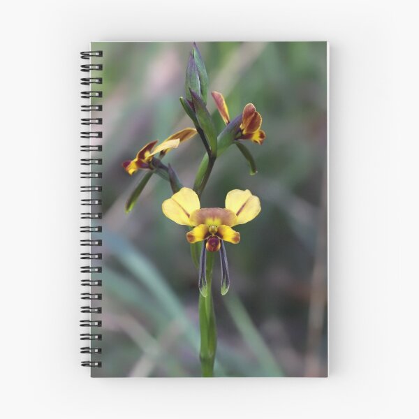 Item preview, Donkey Orchid designed and sold by LeeoPhotography.