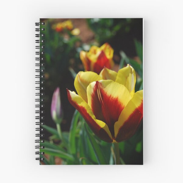 Item preview, Prose designed and sold by Natalie Cooper.