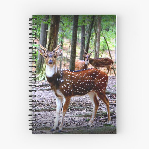 Item preview, Axis Deer designed and sold by Cynthia48.