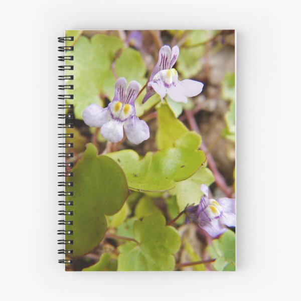 Item preview, kenilworth ivy designed and sold by tego53.