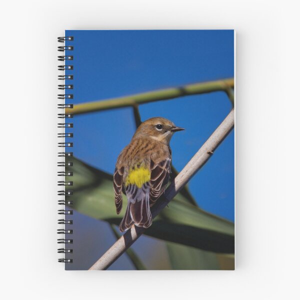 Item preview, Yellow Rumped Warbler designed and sold by John Absher.