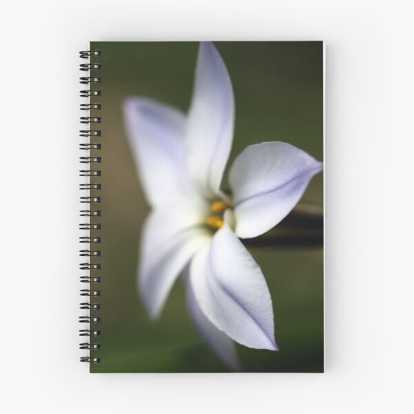 Item preview, Side View of a star designed and sold by Hege Nolan.