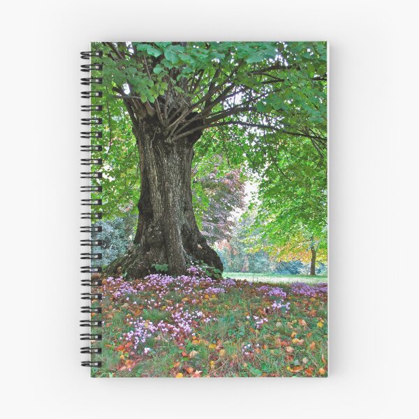 Item preview, Early Autumn designed and sold by John Thurgood.