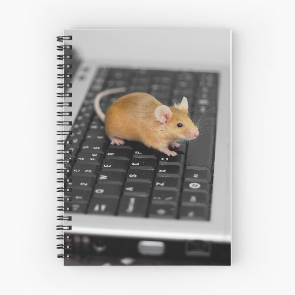 Item preview, Keyboard and Mouse designed and sold by evelynlarner.