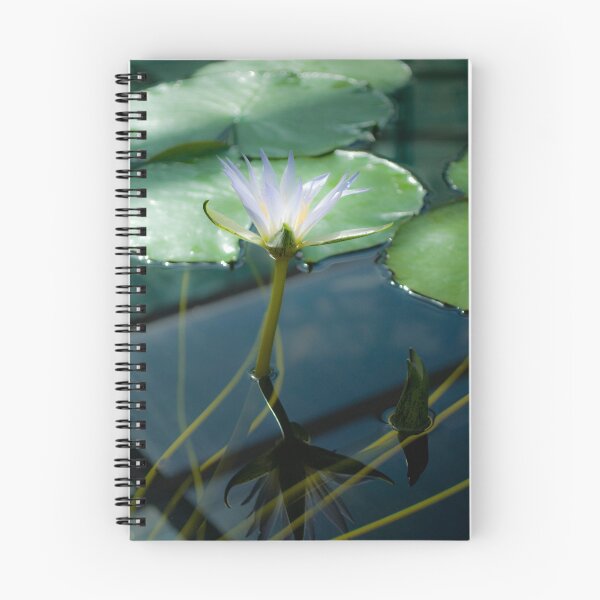 Artikelvorschau, water lily entworfen und verkauft von paul erwin.
