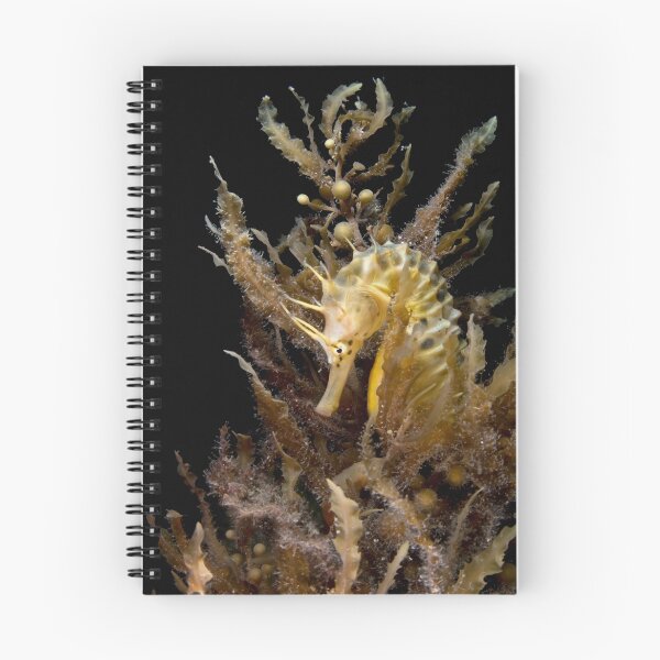 Item preview, Solitude. designed and sold by James Peake Nature Photography..