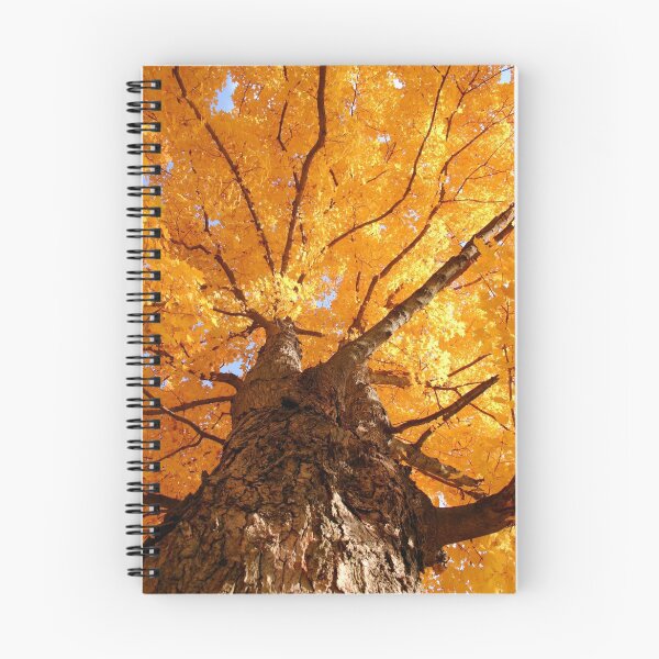 Item preview, Glory of Fall designed and sold by Wini Minerd.