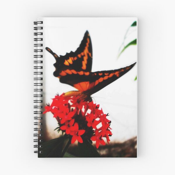 Item preview, Matched designed and sold by Dawn B Davies-McIninch.